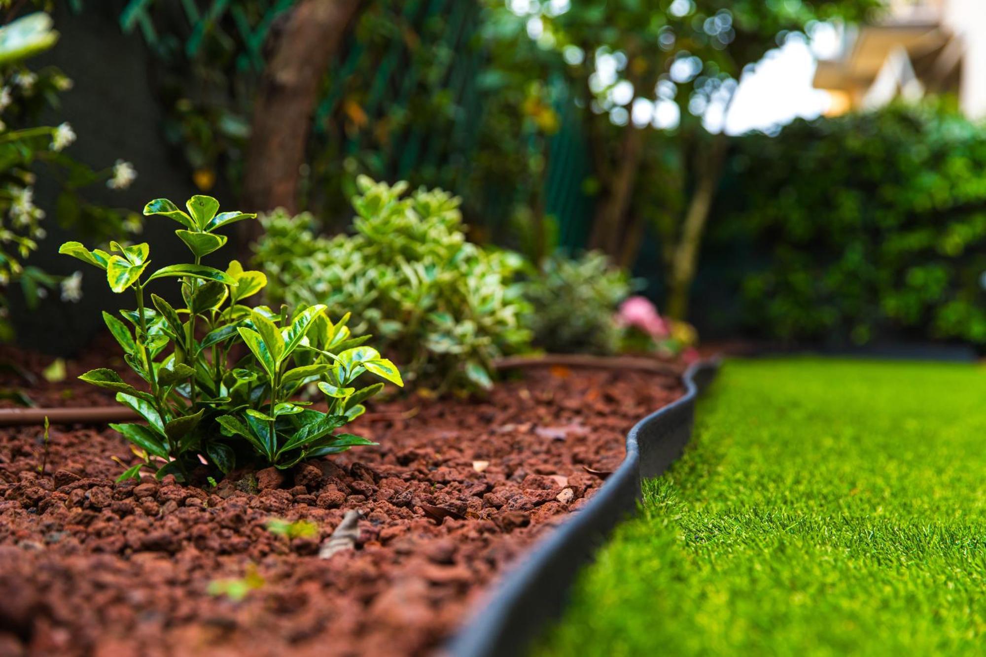 בולוניה Urban Cottage Free Parking - Private Garden מראה חיצוני תמונה